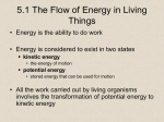 5.1 The Flow of Energy in Living Things