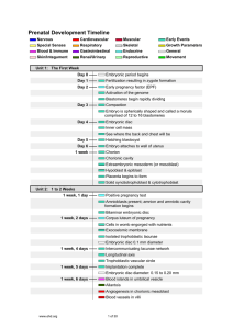 Prenatal Development Timeline