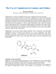 The Use of Cephalexin in Canines and Felines Giovanni Ghibaudo