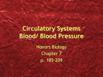 Blood/ Blood Pressure