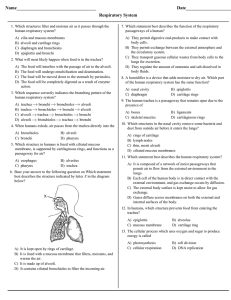 Respiratory System Student Copy File