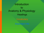 Intro to Human Body