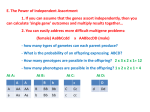 Meiosis and Variation