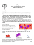 Blood and Bone Marrow Basics - Patient Education Institute