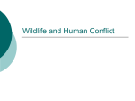 AG-WL-03.453-05.2_ Wildlife and Human Conflict