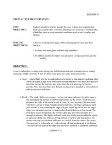 International Paper Forestry Lesson 4