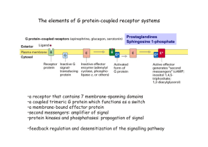 The elements of G protein-coupled receptor systems