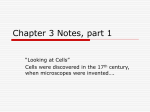 Chapter 3 Notes