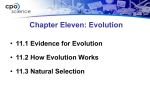 Ch11EvolutionSection2 JC