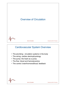 Overview of Circulation Cardiovascular System Overview