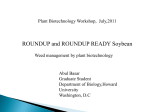 Round-up Ready - Howard University > Plant Biotechnology