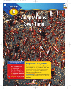 Chapter 6: Adaptations over Time