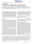 YB-1 - Biochemical Journal