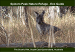 Spicers Peak Nature Refuge - Eco Guide