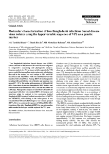 Molecular characterization of two Bangladeshi infectious bursal