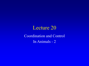 Lecture #20 - Suraj @ LUMS