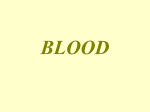 Blood