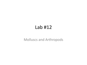 Lab #12 - patriciazuk.com