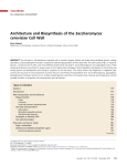 Architecture and Biosynthesis of the Saccharomyces cerevisiae Cell