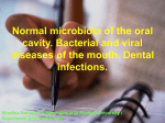 Normal microbiota of the oral cavity