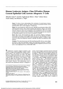 Human Leukocyte Antigen-Class II-Positive