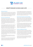 HEART DISEASE IN DOGS AND CATS