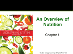 An Overview of Nutrition