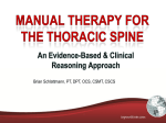 Schlattman - T Spine 2013 II IPTA