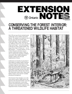 Conserving the Forest Interior