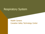 Respiratory System - Canadian Valley Technology Center