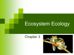 Energy Flow and Cycles of Matter