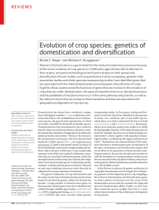 Evolution of crop species: genetics of domestication and diversification
