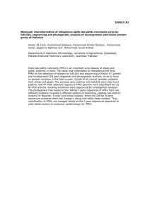 ISVEE/181 Molecular characterization of indigenous peste des petits