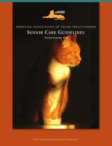 Senior Cat Care - Old North End Vet