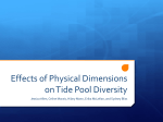 Effects of Physical Dimensions on Tide Pool Diversity
