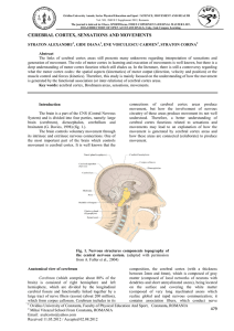 cerebral cortex, sensations and movements