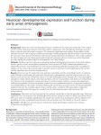 Neurocan developmental expression and function during early