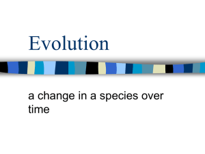 Evolution _2 Relative Dating