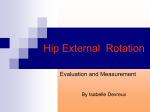 Hip Internal Rotation