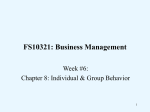 Fundamentals of Management 4e.