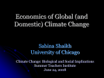 Economics of Global Climate Change: Market Response to Carbon