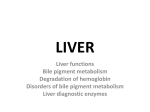 Clinical biochemistry (5) Liver