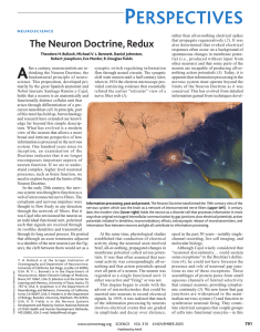 The Neuron Doctrine, Redux