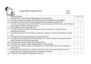 Human Body Progress Check