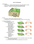 Unit 13: Earthquakes A. Earthquakes 1. Earthquake