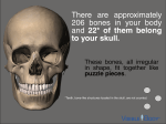 There are approximately 206 bones in your body and 22