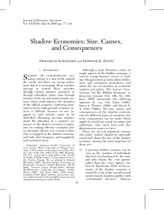 Shadow Economies: Size, Causes, and Consequences