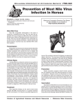 VTMD-3925 Prevention of West Nile Virus Infection in Horses