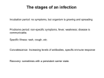 Lecture6Dec01Mycobacteria