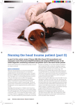 Nursing the head trauma patient